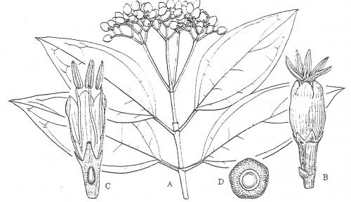 F_4_229