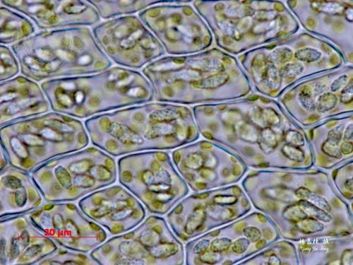 y3840-co2-1.jpg y3840-co2-1.jpg
