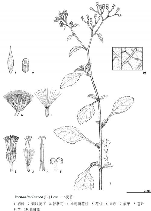 KIN-02-117