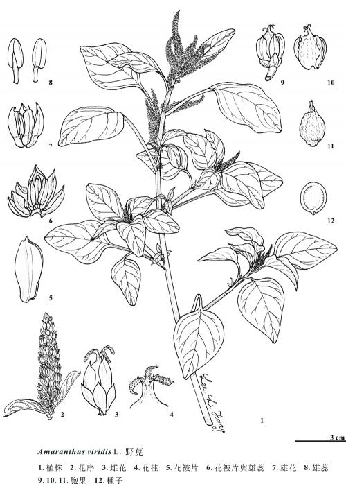 KIN-01-583