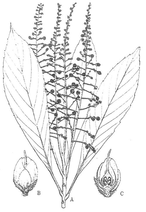 F_3_189