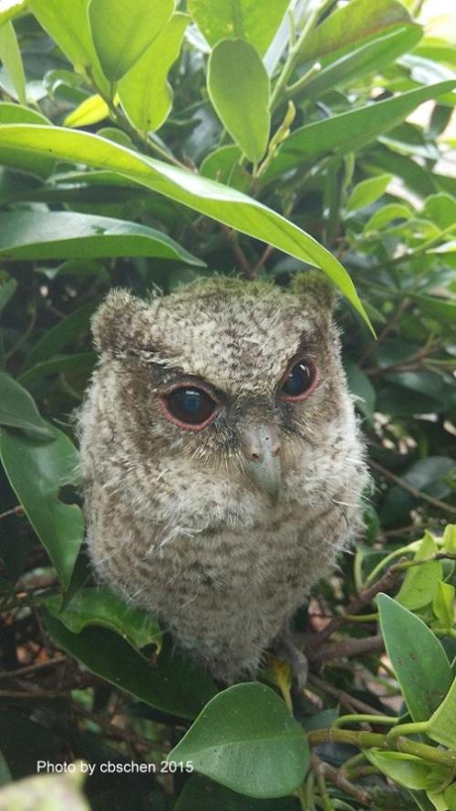 20170720170053_419715_0.jpg 20170720170053_419715_0.jpg