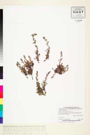 <a href="https://brmas.openmuseum.tw/muse/digi_object/133f95ae257110361238ac6e2ffd9ab5" target="_blank">高山艾／中央研究院生物多樣性研究博物館植物標本館 (HAST)</a>