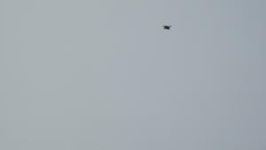 <a href="https://taieol.tw/muse/digi_object/859295dd415a76ca40c31321923f490b" target="_blank">魚鷹／By：ming110／iNaturalist</a>