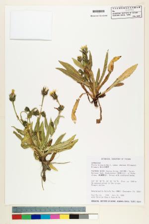 <a href="https://brmas.openmuseum.tw/muse/digi_object/4bdf8419028db27dec59cd26e1f7ed15" target="_blank">高山毛蓮菜／中央研究院生物多樣性研究博物館植物標本館 (HAST)</a>