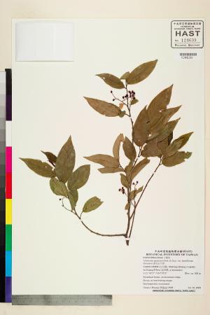 <a href="https://brmas.openmuseum.tw/muse/digi_object/61c0f03837ee080a8ddbd947e808550b" target="_blank">密花五月茶／中央研究院生物多樣性研究博物館植物標本館 (HAST)</a>