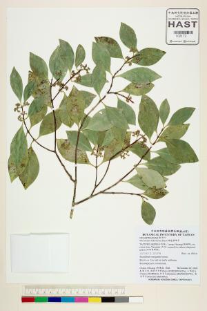 <a href="https://brmas.openmuseum.tw/muse/digi_object/9fe43bc07ddc6ef09025088db443a9d7" target="_blank">福建賽衛矛／中央研究院生物多樣性研究博物館植物標本館 (HAST)</a>