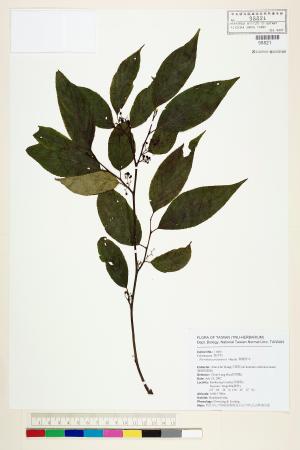 <a href="https://brmas.openmuseum.tw/muse/digi_object/b36205745c0f2153cc7d4fad89db6ffd" target="_blank">佩羅特木／中央研究院生物多樣性研究博物館植物標本館 (HAST)</a>