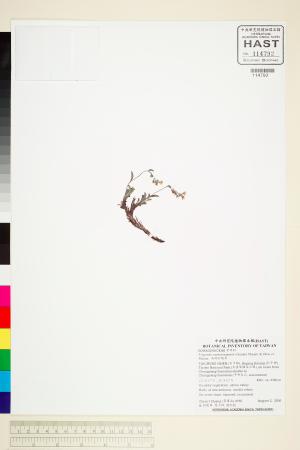 <a href="https://brmas.openmuseum.tw/muse/digi_object/b621b6285e56526e558b7917fc1a8271" target="_blank">南湖附地草／中央研究院生物多樣性研究博物館植物標本館 (HAST)</a>