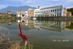 <a href="https://taieol.tw/muse/digi_object/d302f4ebceb5ecfac941e9ce1deba807" target="_blank">紫紅蜻蜓／By：白欽源／漫步在森林的氣味裡</a>