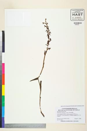 <a href="https://brmas.openmuseum.tw/muse/digi_object/e04ba09ba852ee17f2b72d8f412b0be2" target="_blank">厚唇粉蝶蘭／中央研究院生物多樣性研究博物館植物標本館 (HAST)</a>