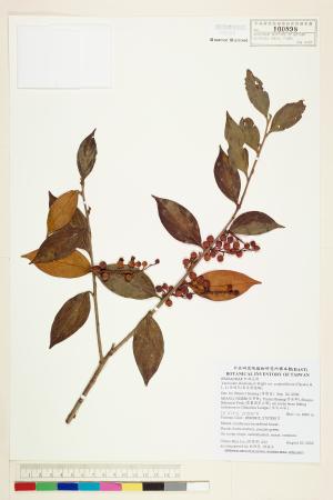 <a href="https://brmas.openmuseum.tw/muse/digi_object/f3998a55c3ecd9b55290719cb383c1f4" target="_blank">珍珠花(長尾葉越橘)／中央研究院生物多樣性研究博物館植物標本館 (HAST)</a>